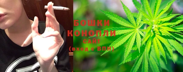 трава Абаза