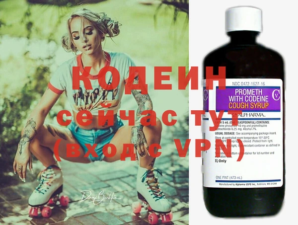 прущие грибы Ростов