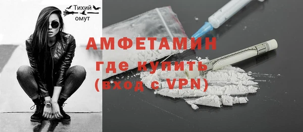 прущие грибы Ростов