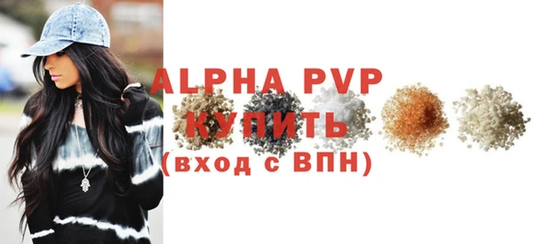 прущие грибы Ростов