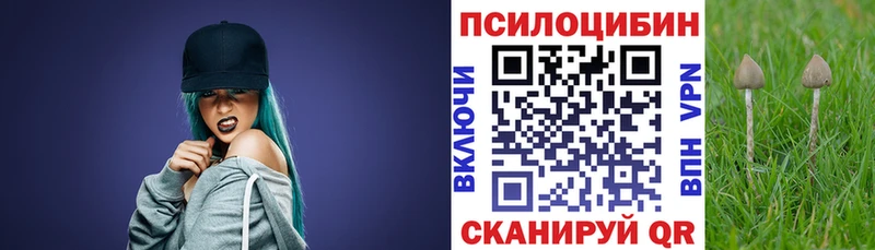 наркота  Костерёво  Псилоцибиновые грибы ЛСД 